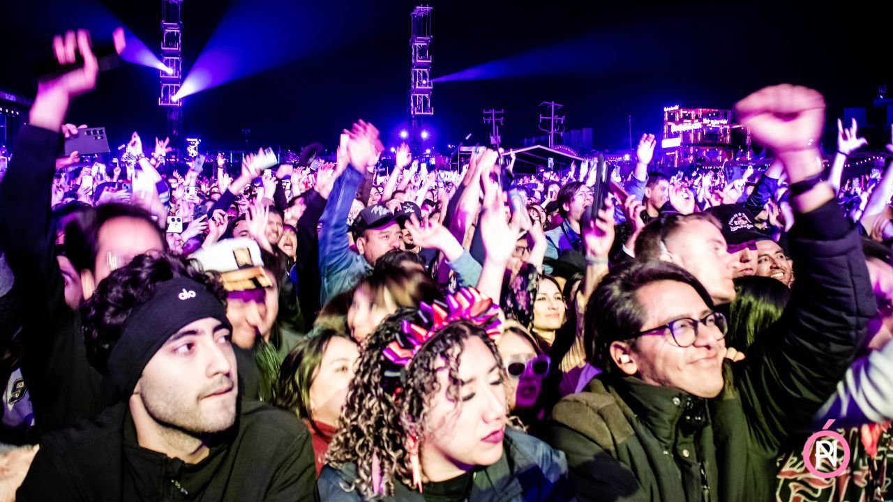 Pulso GNP cartel 2026